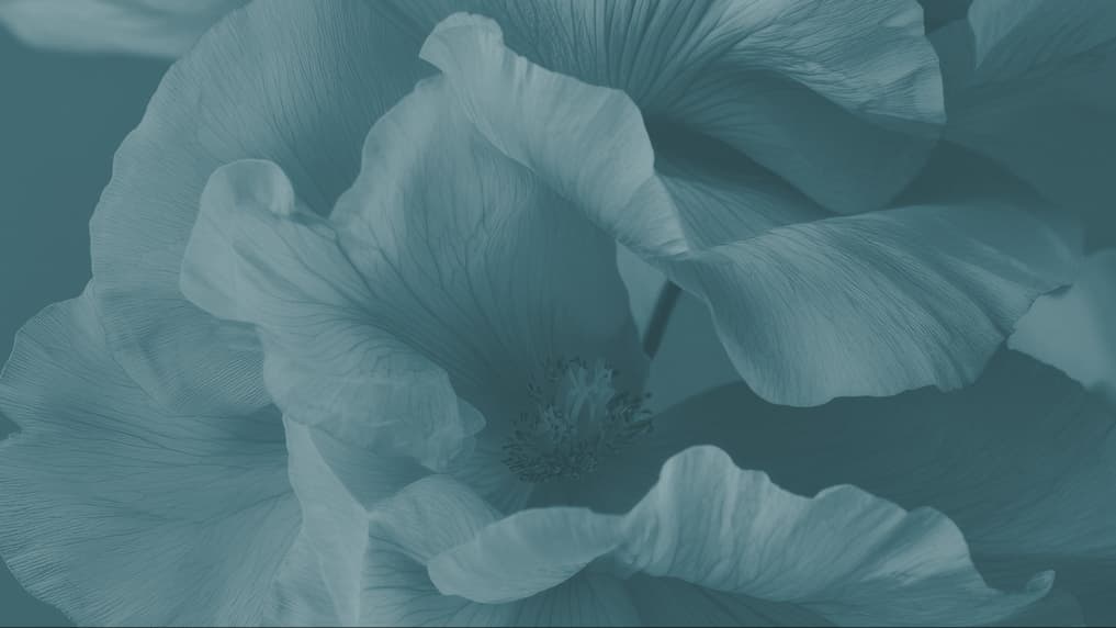 Footer background
